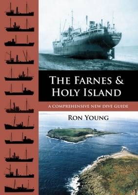 Cover image for The Farnes and Holy Island, isbn: 9781849950411