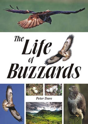 Cover image for The Life of Buzzards, isbn: 9781849951302