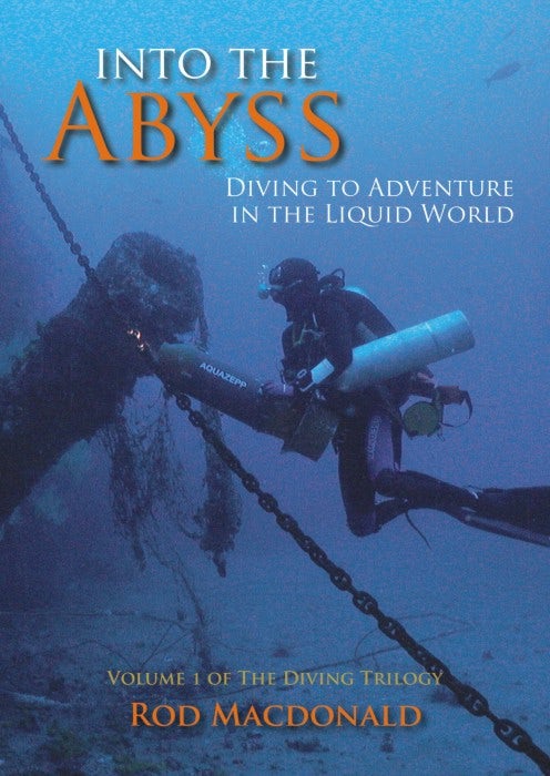 Cover image for Into the Abyss, isbn: 9781849953832