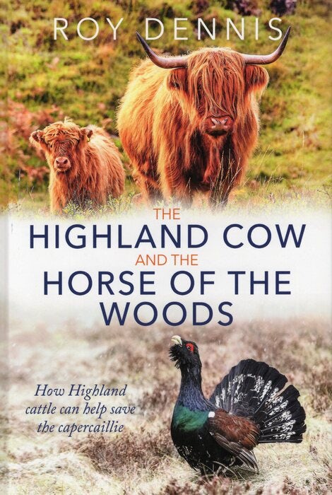 Cover image for Highland Cow & the Horse of the Woods, isbn: 9781849956086