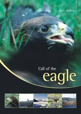 Cover image for Call of the Eagle, isbn: 9781904445821