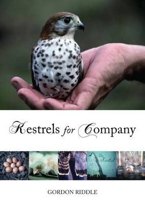 Cover image for Kestrels for Company, isbn: 9781849950299