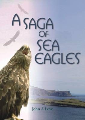 Cover image for A Saga of Sea Eagles, isbn: 9781849950800