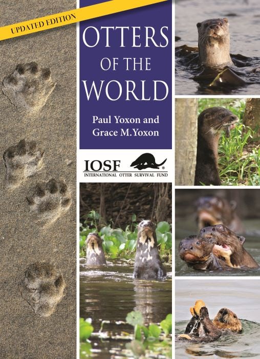 Cover image for Otters of the World, isbn: 9781849951296