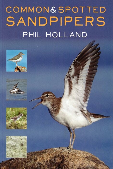 Cover image for Common and Spotted Sandpipers, isbn: 9781849953610