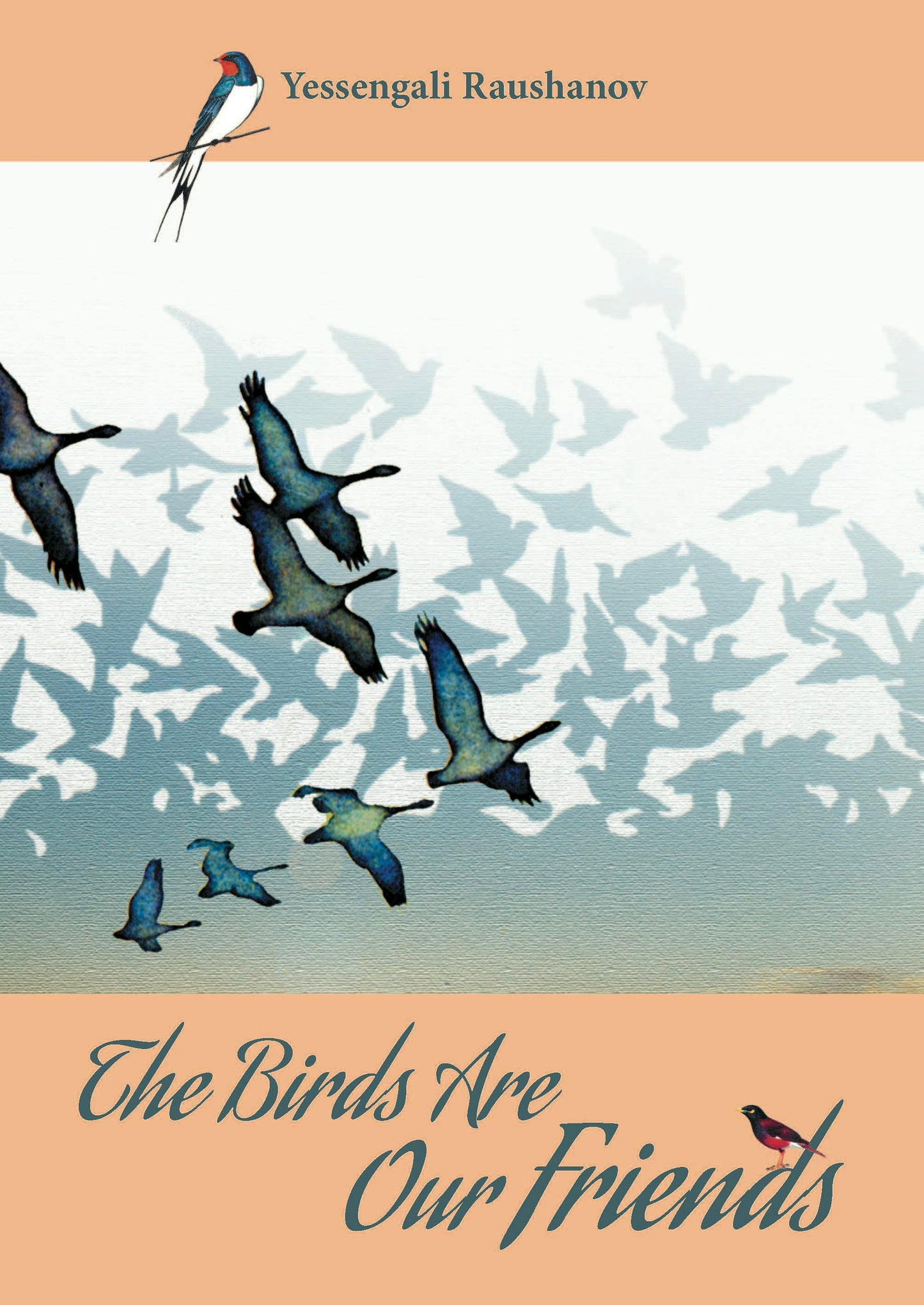 Cover image for The Birds are our Friends, isbn: 9781849954556