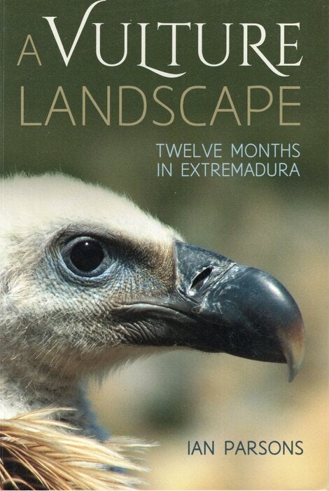 Cover image for A Vulture Landscape, isbn: 9781849954570