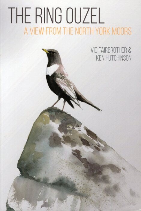 Cover image for The Ring Ouzel, isbn: 9781849954587
