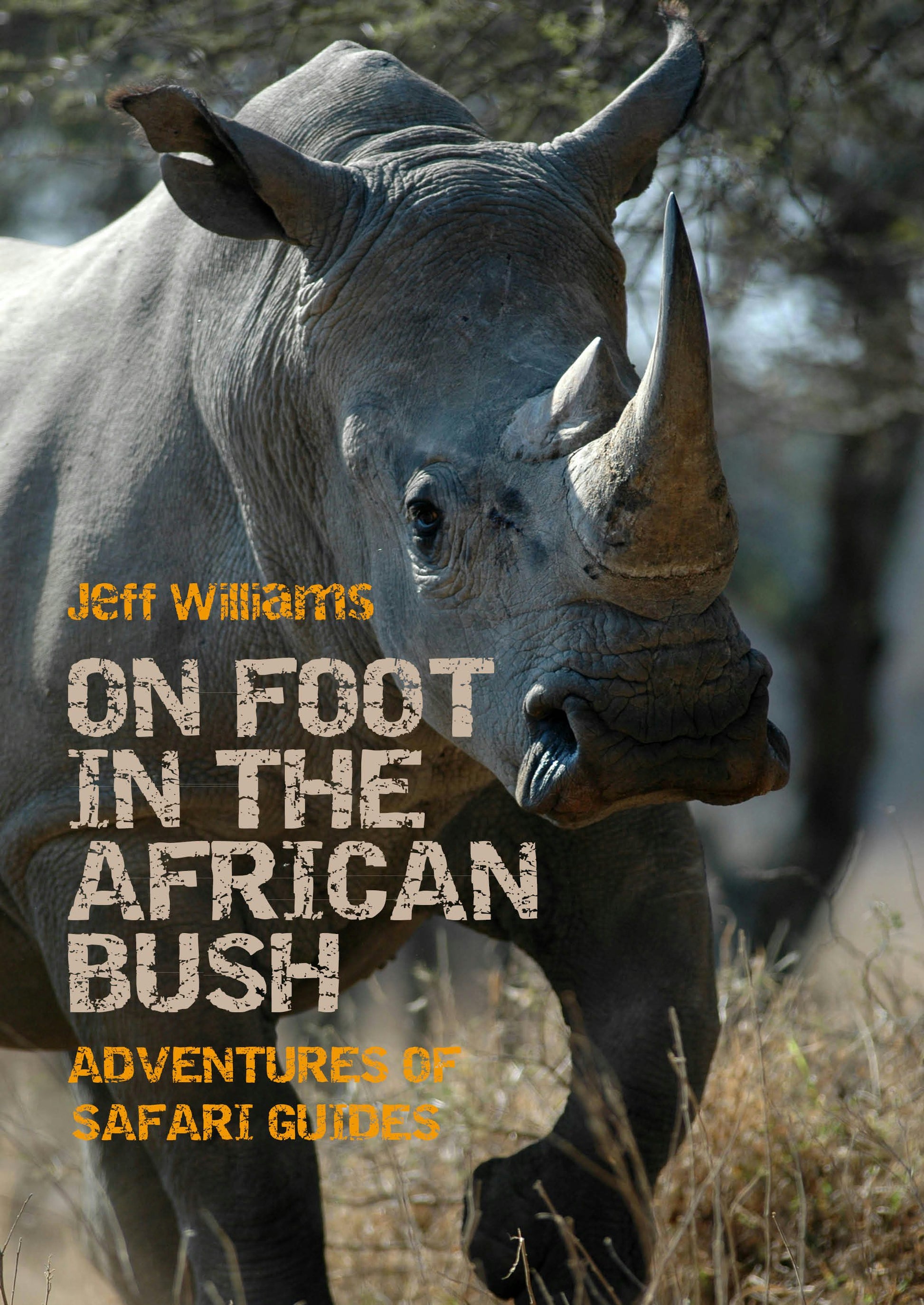 Cover image for On Foot in the African Bush, isbn: 9781849954594