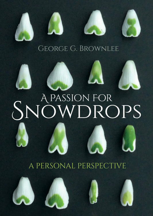 Cover image for A Passion for Snowdrops, isbn: 9781849954938