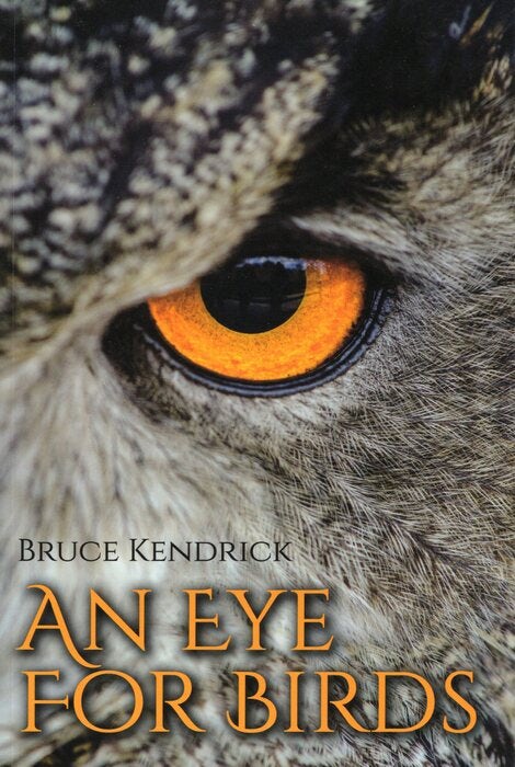 Cover image for An Eye for Birds, isbn: 9781849954952