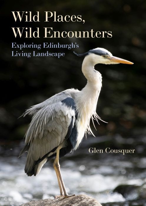 Cover image for Wild Places, Wild Encounters, isbn: 9781849955713