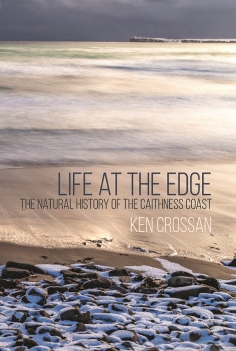 Cover image for Life at the Edge, isbn: 9781849955980