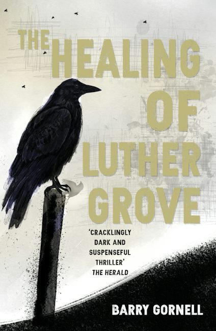 Cover image for The Healing of Luther Grove, isbn: 9781849957649